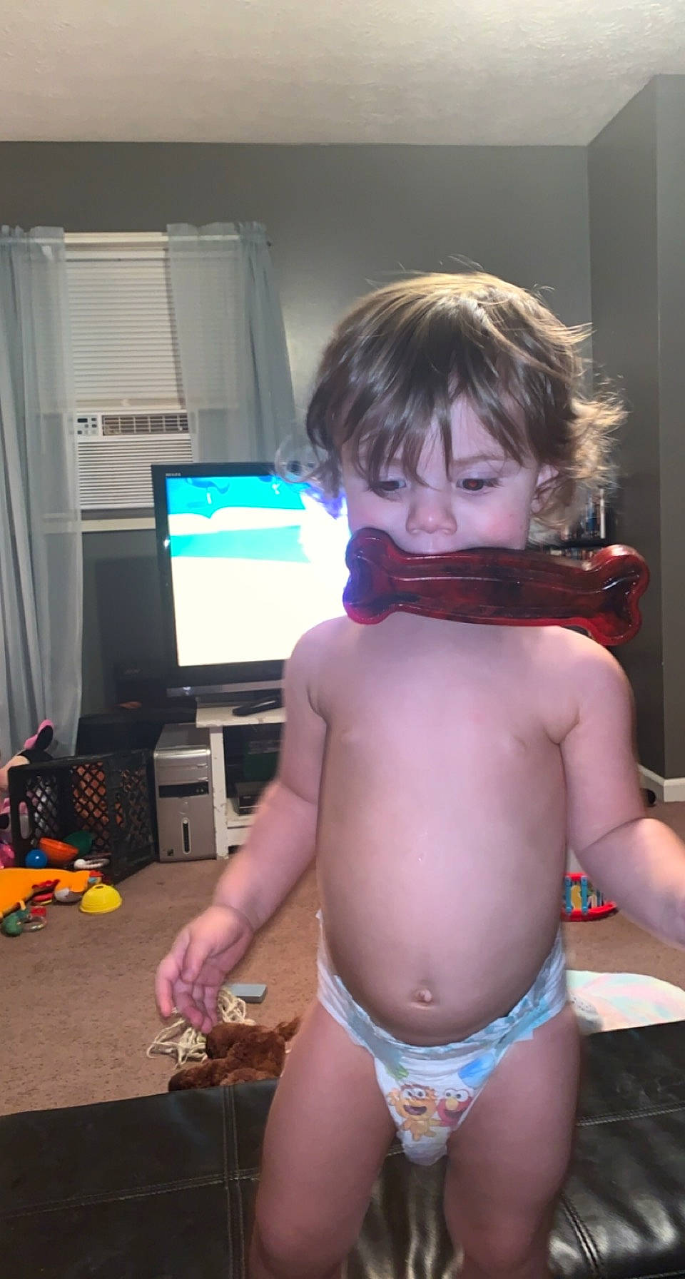 Hadleigh joined the competition — help win amazing prizes! abdomen, bangs, blond, briefs, brown_hair, chest, curtain, display_device, muscle, person, stomach, swim_brief, swimwear, thigh, toddler, toy, trunk, undergarment, underpants