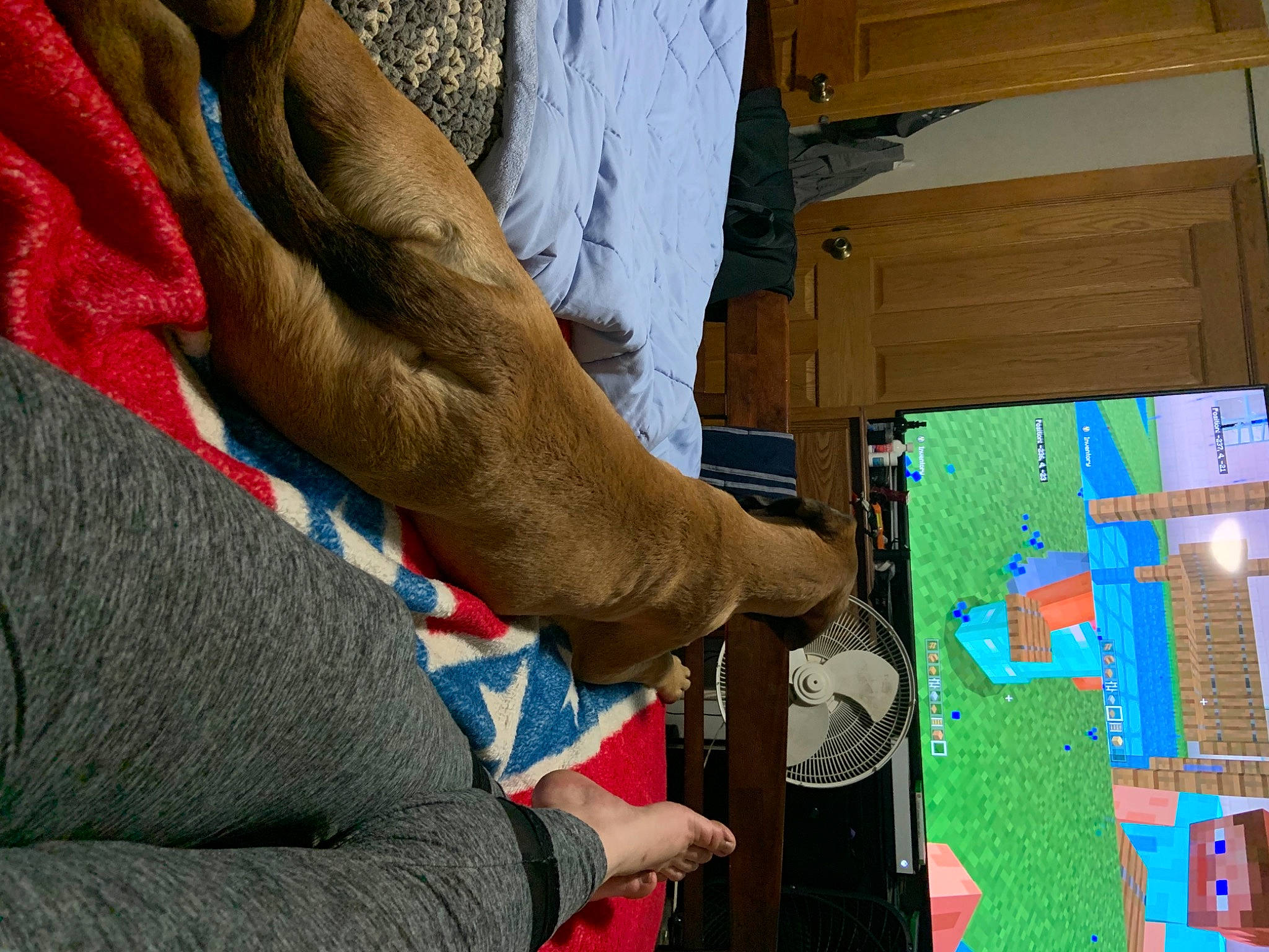 Klyde is registered to the contest to win money with this photo: comfort, human, sweater, wool, wrist