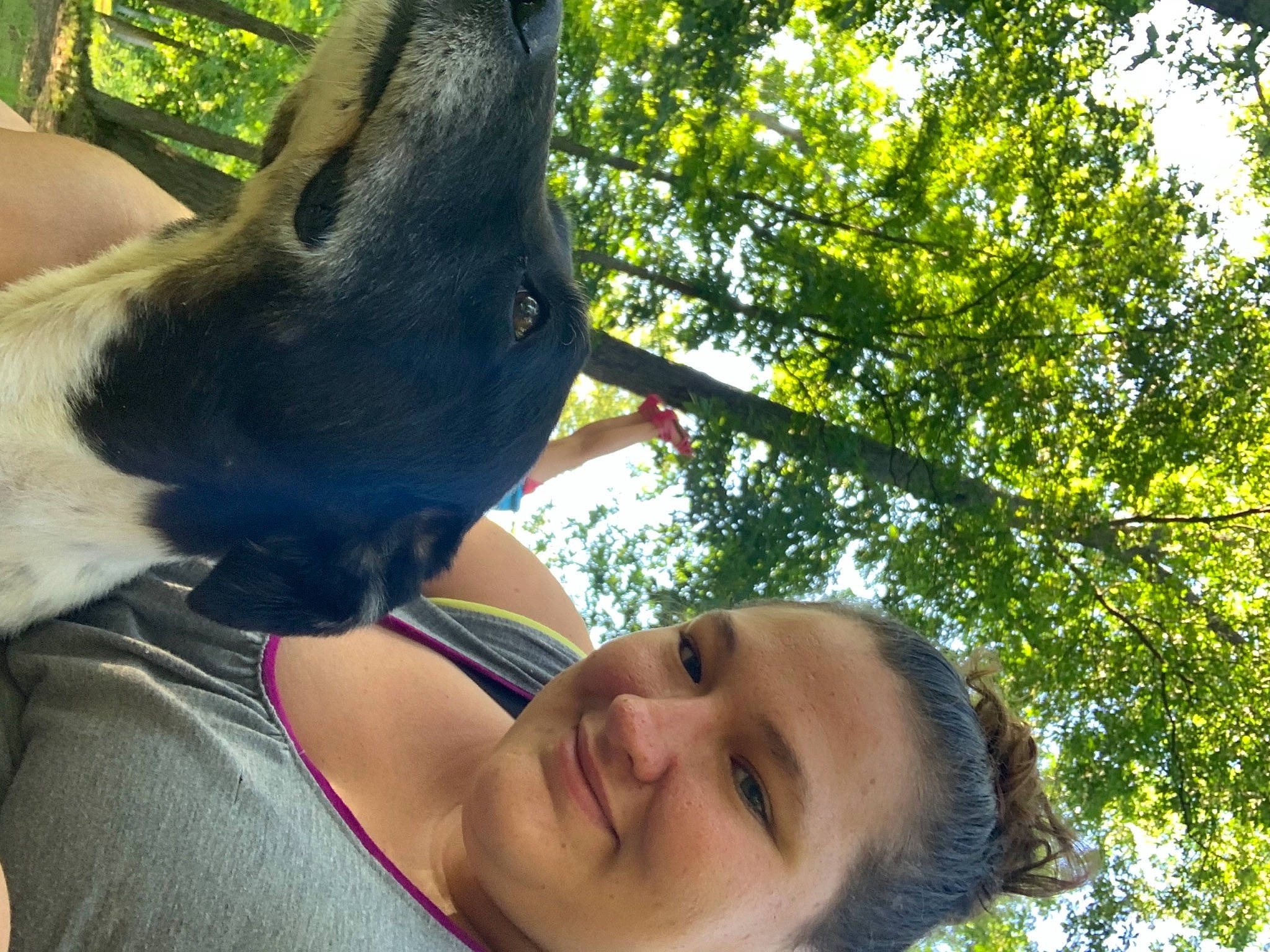 Danny joined the competition — help win amazing prizes! canidae, carnivore, collar, dog, dog_breed, dog_collar, interaction, love, mammal, organ, people_in_nature, selfie, snout, sporting_group, summer, sunlight, throat, working_animal, working_dog