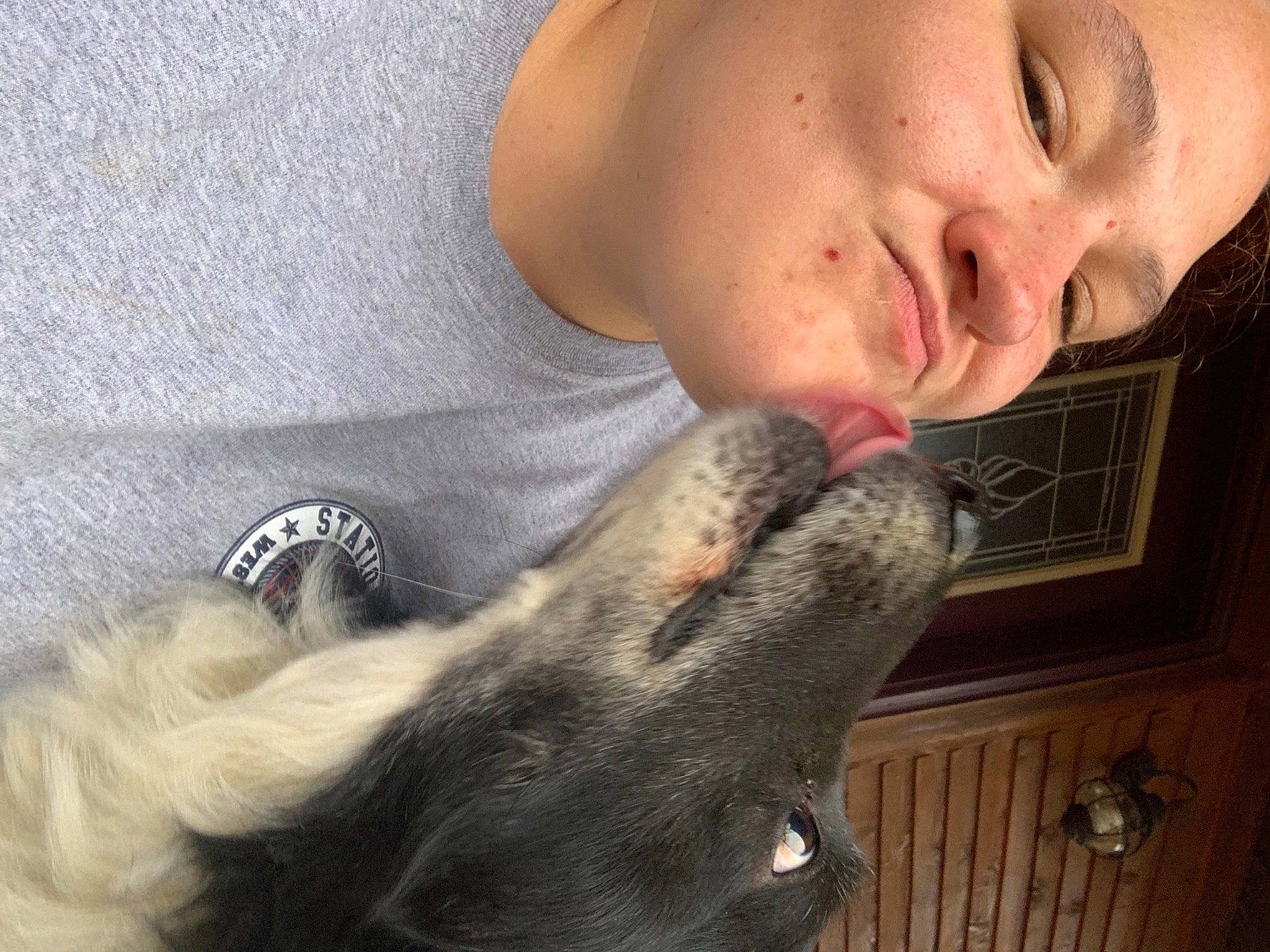 Danny joined the competition — help win amazing prizes! canidae, carnivore, comfort, dog, dog_breed, eyelash, fur, jaw, mammal, neck, organ, selfie, skin, snout, throat, tongue, tooth, vertebrate, wood_stain, working_animal