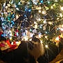 Odie joined the competition — help win amazing prizes! animal, blurred, cat, celebration, christmas, christmas_tree, cozy, decorations, feline, festive, glowing, holiday, holiday_decor, home, indoor, lights, ornaments, pet, tree_skirt, warm_lighting