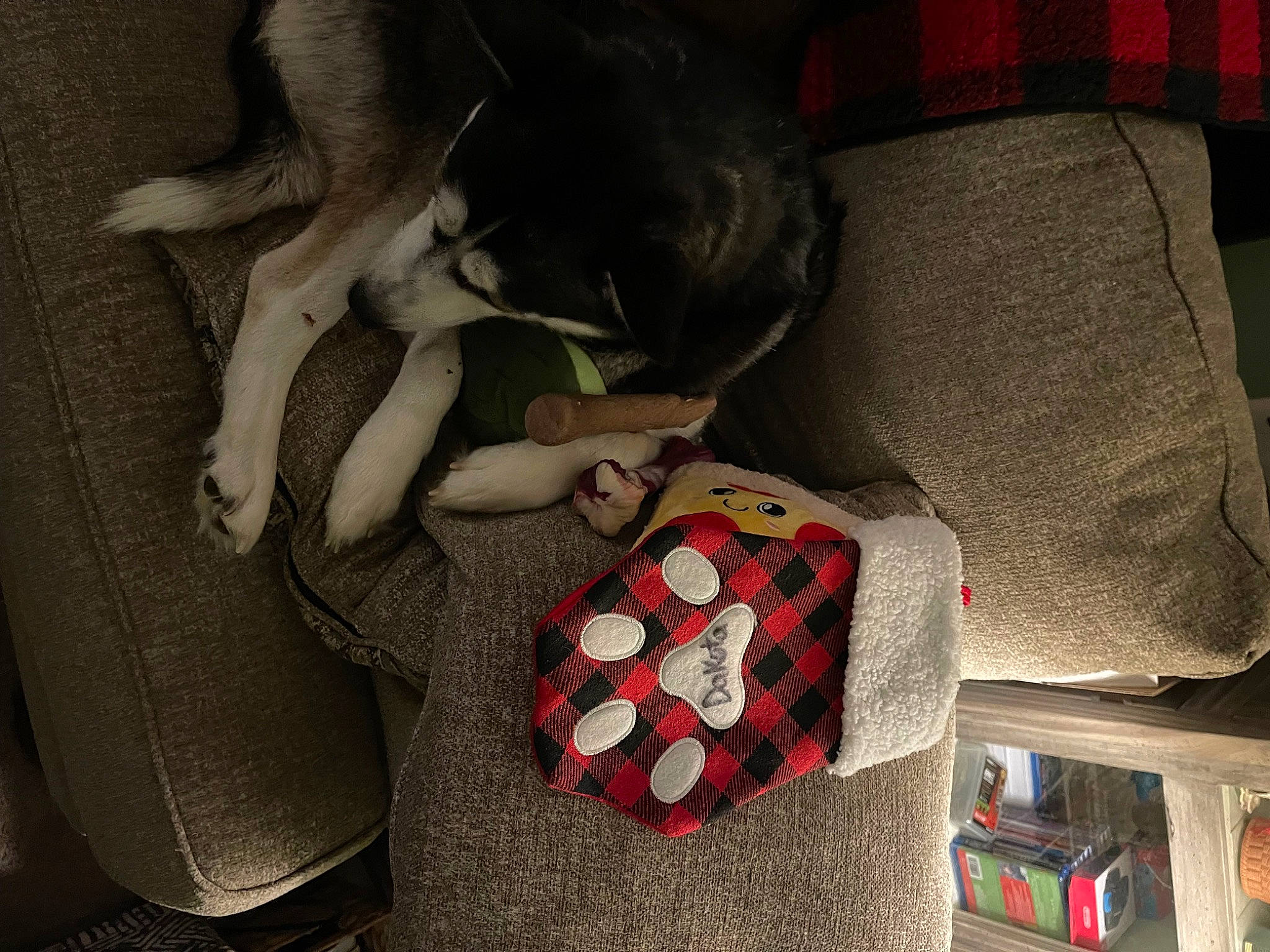 Dakota is registered to the contest to win money with this photo: bag, baggage, car_seat, carmine, carnivore, comfort, companion_dog, dog, dog_breed, dog_supply, fashion_accessory, fur, human_leg, linens, living_room, luggage_and_bags, pattern, plaid, toy_dog, working_animal