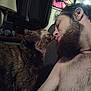 cat, man, beard, indoor, shirtless, furniture, lamp, poster, tortoiseshell_cat, nose_to_nose, curtains, table, intimate, affection, hairy_chest, close_up, pet, love, cozy, relaxed