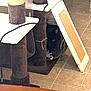 cat, black_cat, cat_tree, scratching_post, pet, indoor, floor_tiles, paw, hiding, cozy, shelter, animal, feline, home, toy, shadow, resting, fur, quiet, curious
