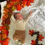 Lyam a rejoint le concours — aidez-le/la à gagner de superbes lots ! baby, infant, autumn_leaves, chestnuts, white_sheet, striped_clothing, brown_pants, socks, lying_down, curious_expression, indoor, floor_tiles, fall_season, decorative_arrangement, cute, child, small_hands, small_feet, colorful_leaves, number_three