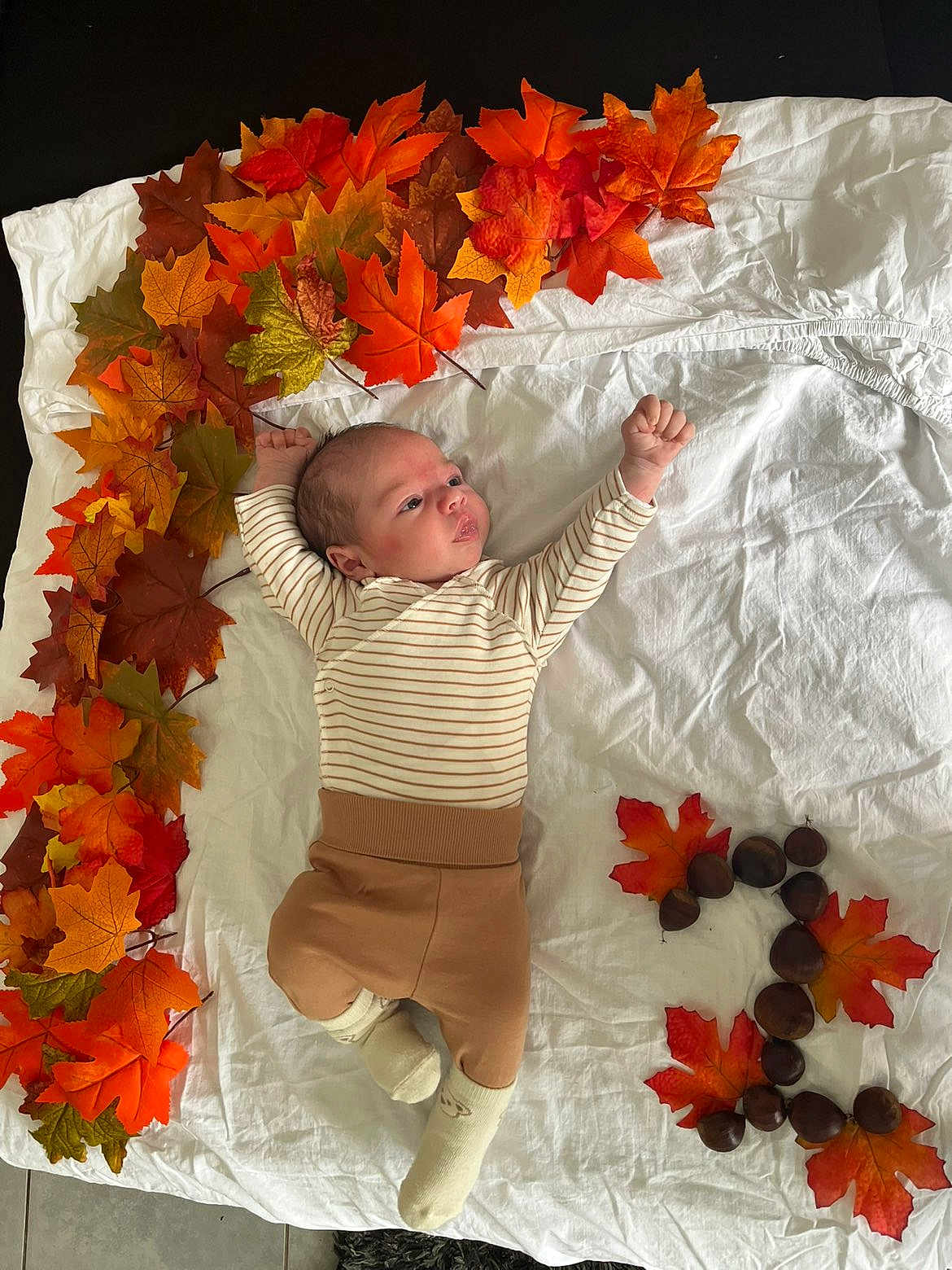 Lyam a rejoint le concours — aidez-le/la à gagner de superbes lots ! baby, infant, autumn_leaves, chestnuts, white_sheet, striped_clothing, brown_pants, socks, lying_down, curious_expression, indoor, floor_tiles, fall_season, decorative_arrangement, cute, child, small_hands, small_feet, colorful_leaves, number_three
