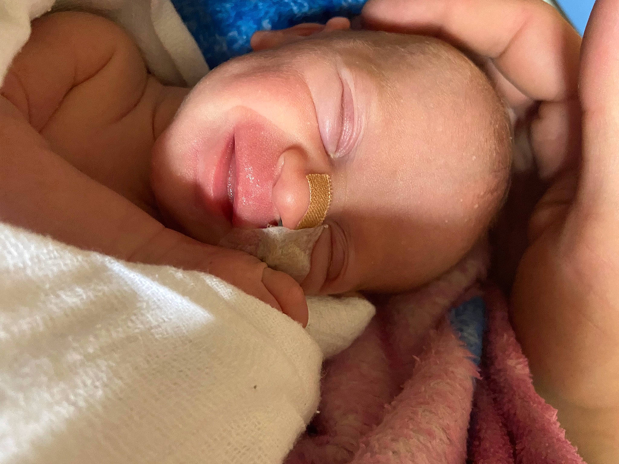 Hailey a rejoint le concours — aidez-le/la à gagner de superbes lots ! abdomen, baby, blue, cheek, chest, comfort, eyebrow, eyelash, face, finger, gesture, hand, lip, mouth, muscle, nail, nose, person, skin, thumb