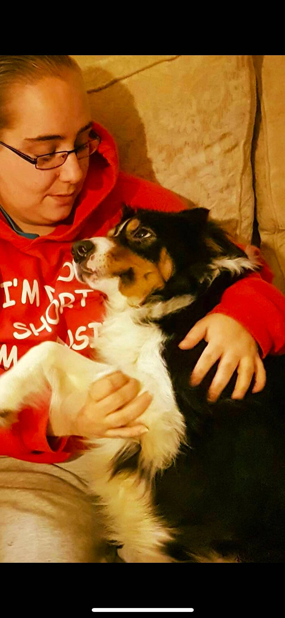 Skalli is registered to the contest to win money with this photo: australian_shepherd, canidae, carnivore, companion_dog, dog, dog_breed, mammal, puppy, puppy_love, sporting_group