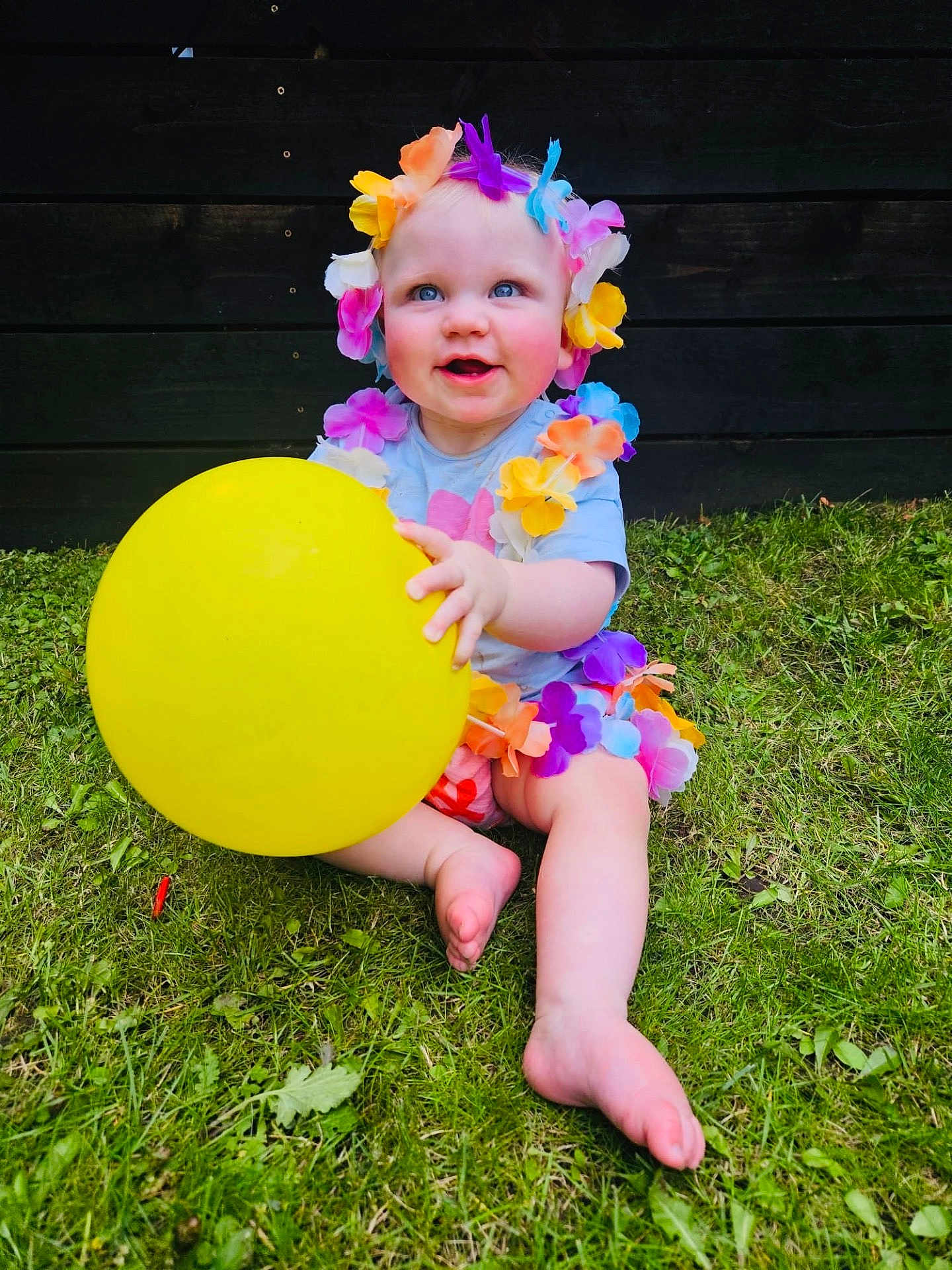 Daisy joined the competition — help win amazing prizes! baby, backyard, balloon, clothing, costume, dress, face, flower, flowerarrangement, grass, head, nature, outdoors, person, petal, photography, plant, portrait, summer, yard