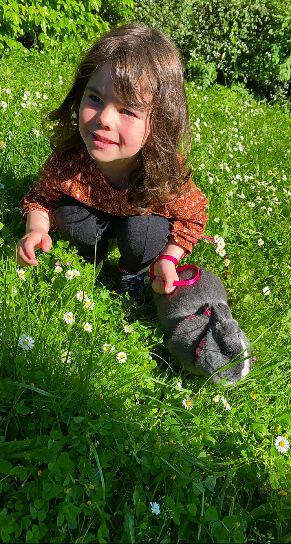 Malia a rejoint le concours — aidez-le/la à gagner de superbes lots ! botany, flower, flowering_plant, grass, grass_family, grassland, groundcover, happy, herbaceous_plant, joy, lawn, leaf, meadow, nature, people_in_nature, person, petal, photograph, plant, shrub