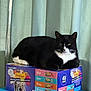 Tux is registered to the contest to win money with this photo: animal, black_and_white_cat, blue_surface, box, canned_food, cat, cat_food, curtain, domestic_cat, feline, food_packaging, friskies, fur, green_curtain, indoor, paw, pet, relaxed, resting, whiskers