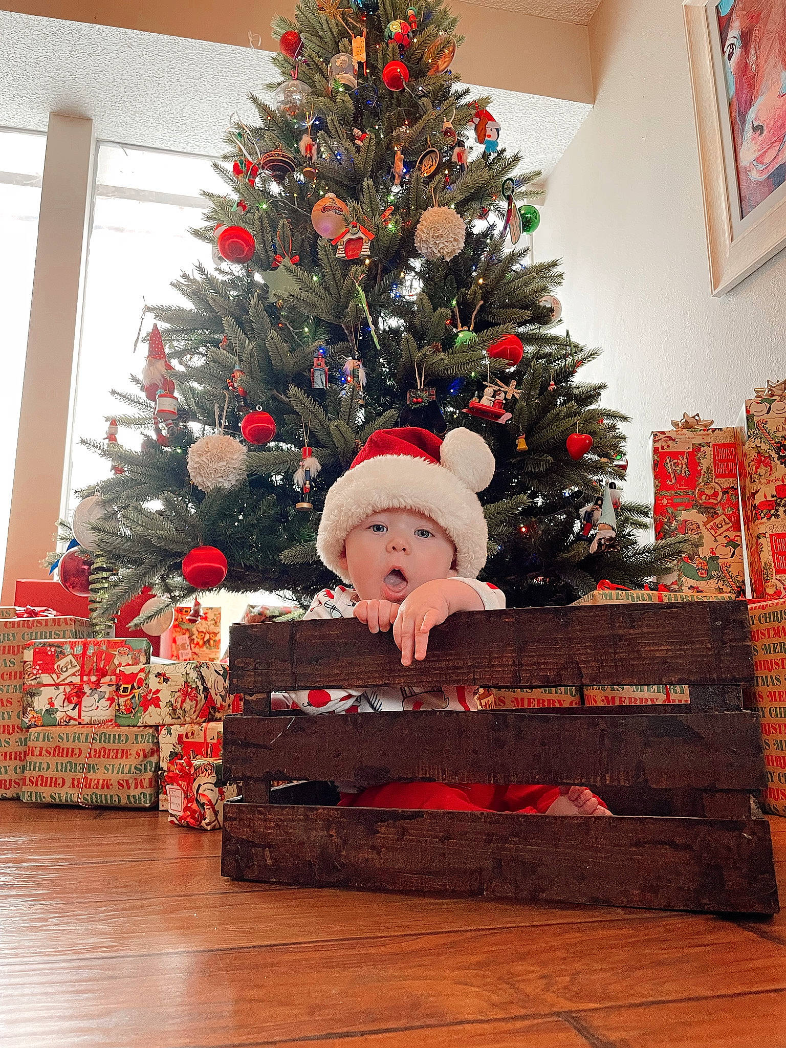 Kaelum is registered to the contest to win money with this photo: christmas, christmas_decoration, christmas_eve, christmas_ornament, christmas_tree, conifer, event, evergreen, flooring, headwear, holiday, holiday_ornament, interior_design, living_room, ornament, person, red, room, surprise, tints_and_shades