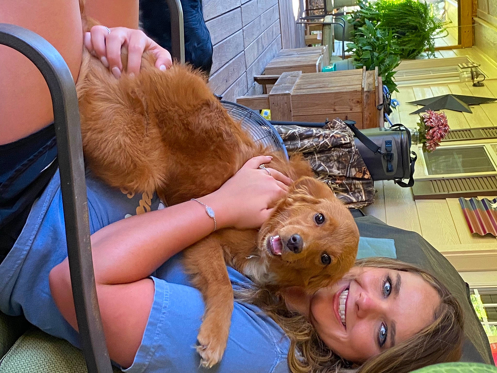 Copper joined the competition — help win amazing prizes! abdomen, blond, companion_dog, eyewear, fawn, fun, grass, happy, human_leg, leisure, mouth, muscle, orange, people, smile, snapshot, summer, thigh, toy, trunk