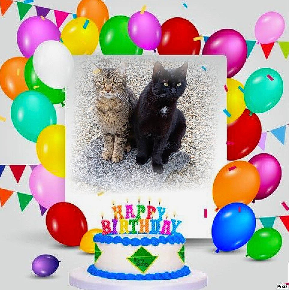 Tigrou Et Twixy a rejoint le concours — aidez-le/la à gagner de superbes lots ! baked_goods, baking, balloon, birthday_cake, birthday_candle, cake, cake_decorating, cake_decorating_supply, candle, carnivore, cat, dessert, event, felidae, font, food, party_supply, small_to_medium_sized_cats, sugar_cake, yellow