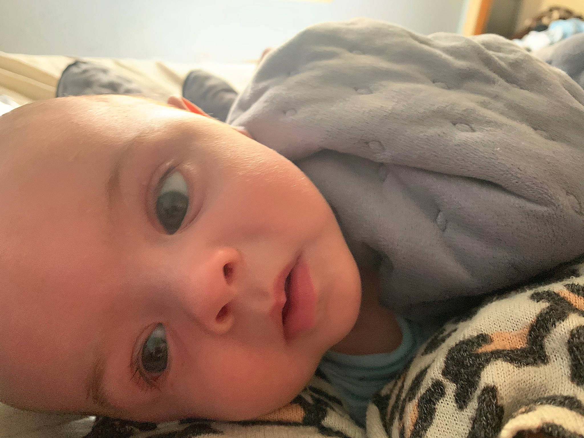 Ian is registered to the contest to win money with this photo: baby, bedtime, cheek, child, comfort, eyelash, face, fur, grass, headgear, iris, linens, lip, nose, person, room, skin, sleep, toddler, tree