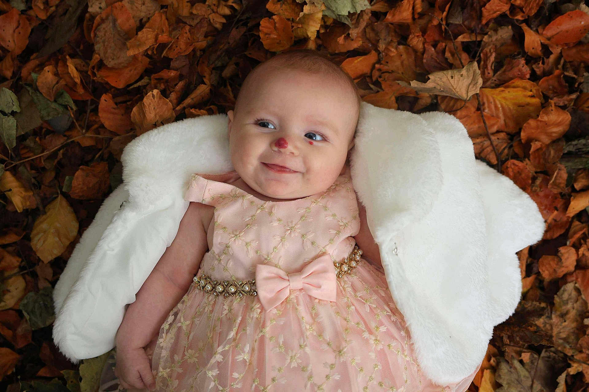 Destini-Grace is registered to the contest to win money with this photo: baby, infant, pink_dress, white_blanket, autumn_leaves, fall, outdoor, smile, face, child, cute, portrait, nature, seasonal, young, person, happy, clothing, skin, head