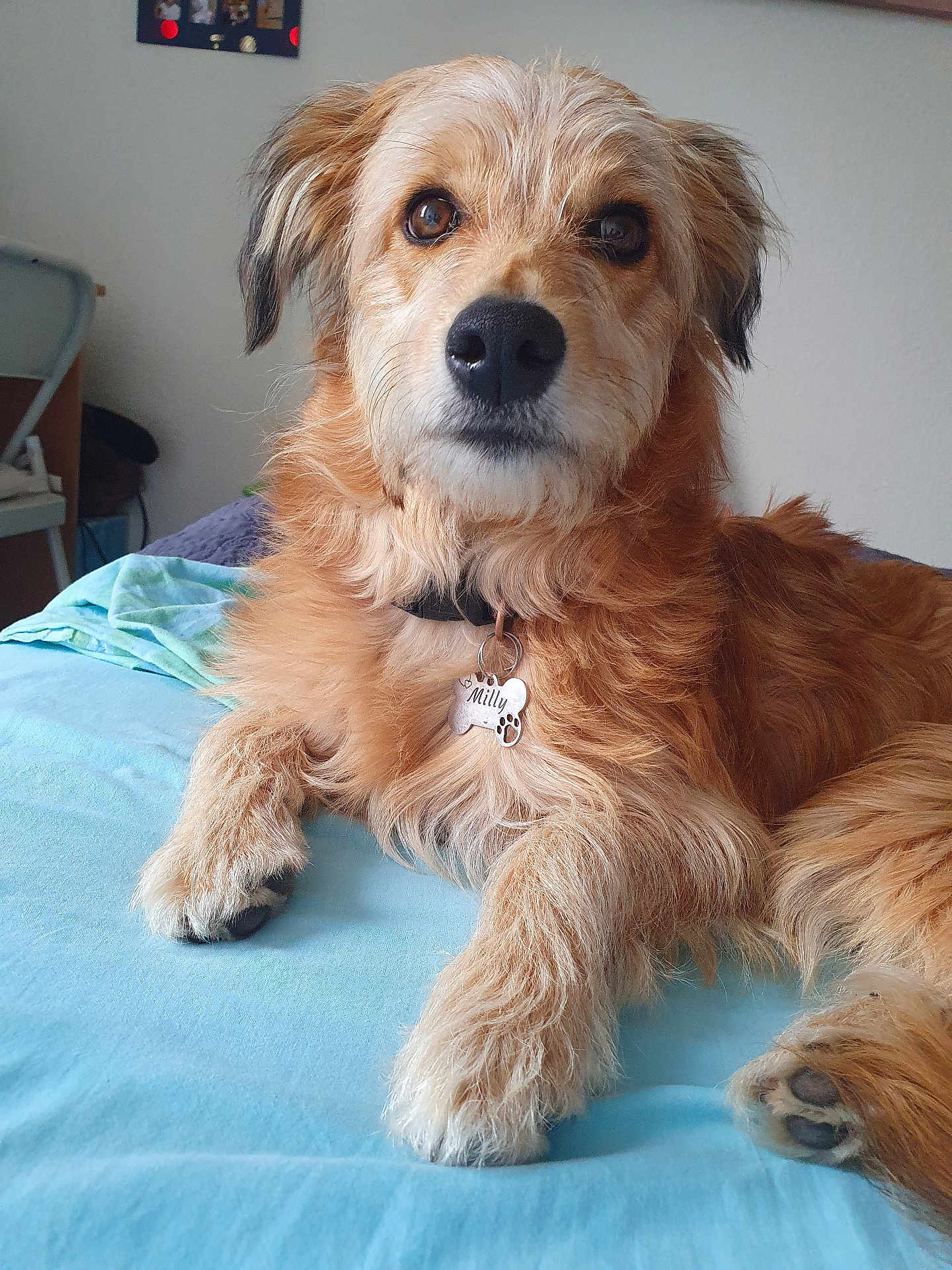 Milly