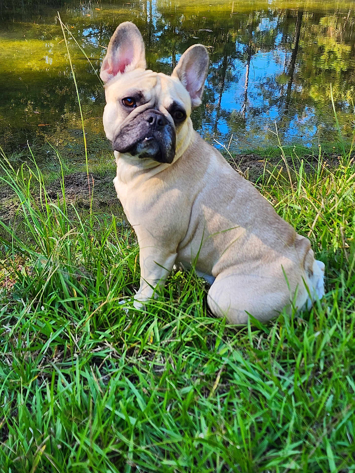 Luna