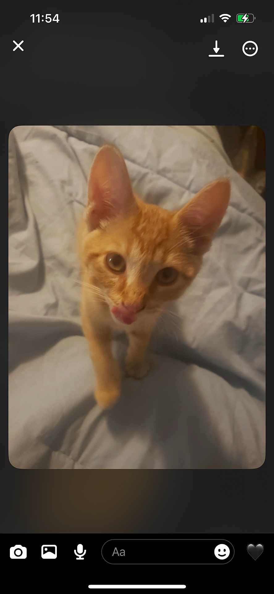 Gizmo