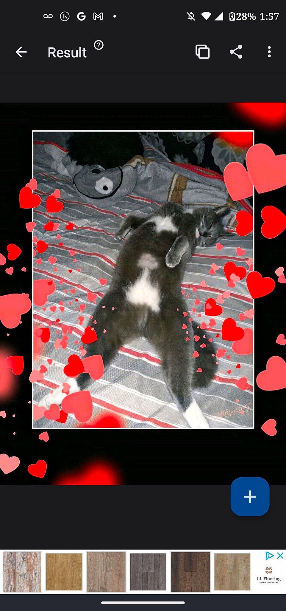 Gray joined the competition — help win amazing prizes! art, canidae, carmine, carnivore, display_device, event, felidae, font, fur, games, graphic_design, graphics, organism, pattern, rectangle, red, small_to_medium_sized_cats, tail, technology, whiskers