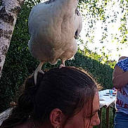 Lablanche participe au concours pour gagner de l'argent avec cette photo :