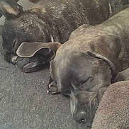 Sauvage participe au concours pour gagner de l'argent avec cette photo :