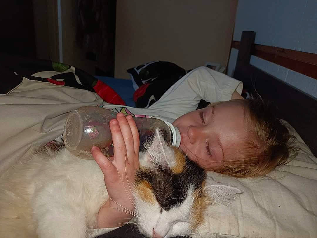 Amelie participe au concours pour gagner de l'argent avec cette photo : canidae, carnivore, cat, child, claw, comfort, companion_dog, dog_breed, domestic_short_haired_cat, ear, felidae, fur, lap, mammal, nap, person, room, sleep, small_to_medium_sized_cats, sporting_group