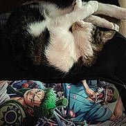 Dina Marie is registered to the contest to win money with this photo: cat, sleeping, curled_up, couch, furniture, black_and_white, fur, animal, pet, indoor, fabric, anime, colorful, illustration, character, clothing, relaxing, cozy, soft, resting