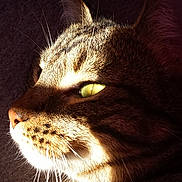 Moumoune participe au concours pour gagner de l'argent avec cette photo :
