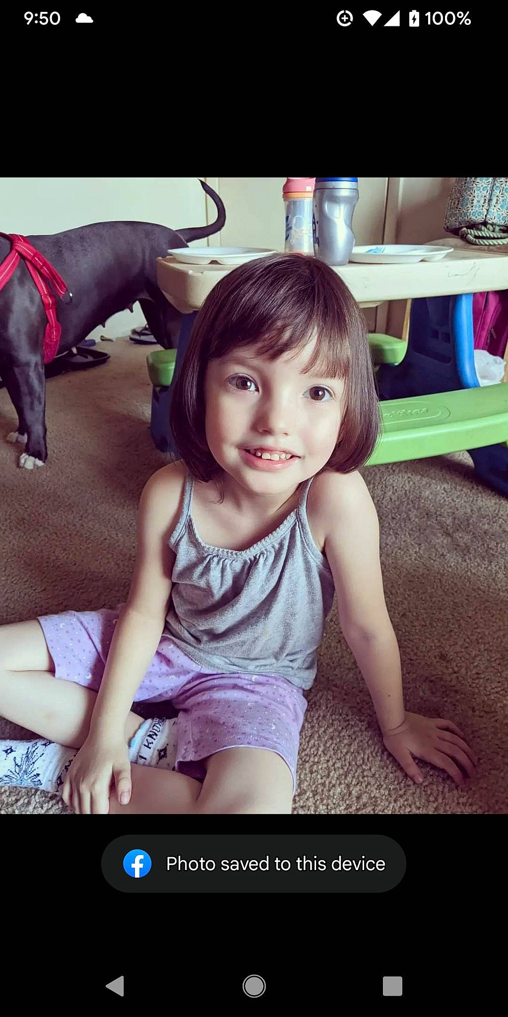 Lillian joined the competition — help win amazing prizes! black_hair, dog, electronic_device, fawn, flash_photography, fun, happy, human_leg, joy, lap, long_hair, magenta, muscle, person, pink, purple, skin, smile, snapshot, thigh