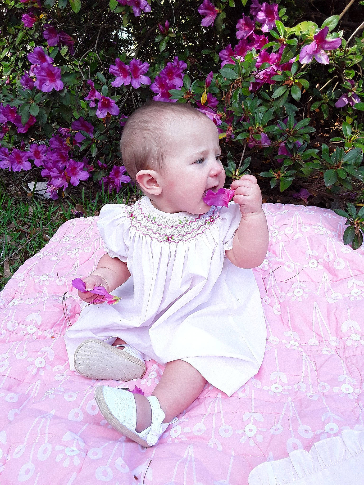 Gracelyn is registered to the contest to win money with this photo: baby, child, dress, flower, grass, person, petal, pink, plant, sitting, spring, toddler