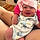 Daia