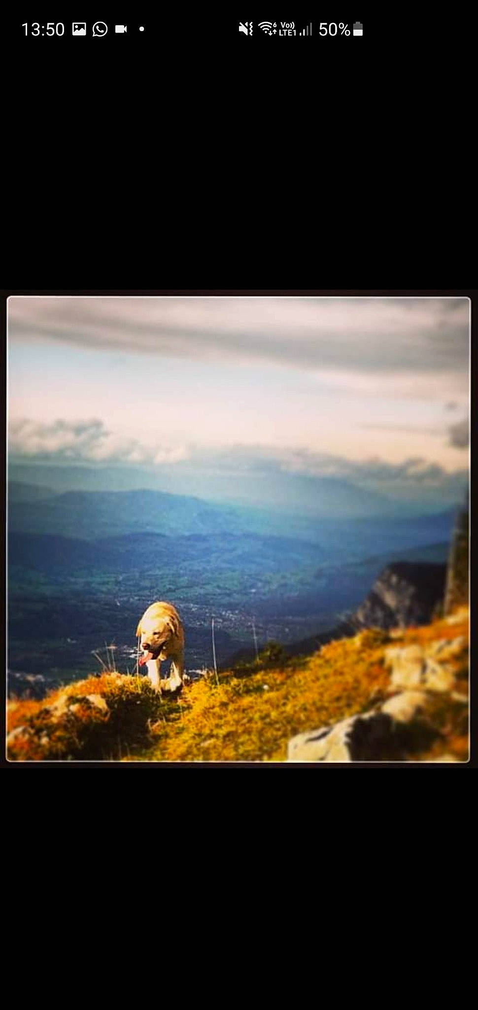 Ipsos participe au concours pour gagner de l'argent avec cette photo : atmosphere, cloud, display_device, grass, happy, heat, highland, hill, horizon, landscape, meteorological_phenomenon, mountain, natural_landscape, people_in_nature, plant, rectangle, sky, sunset, tints_and_shades, water
