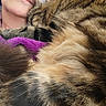 person, cat, glasses, tabby_cat, fur, close_up, indoor, portrait, cozy, resting, face, brown_fur, striped_fur, human, couch, decor, relaxed, close_contact, purple_blanket, eyewear