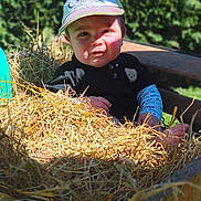 Leão a rejoint le concours — aidez-le/la à gagner de superbes lots ! baby, blue_hat, casual, child, clothing, curious_expression, daytime, grass, greenery, hat, hay, nature, outdoor, person, playful, portrait, shadow, sunlight, toddler, wooden_container