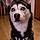 Nala