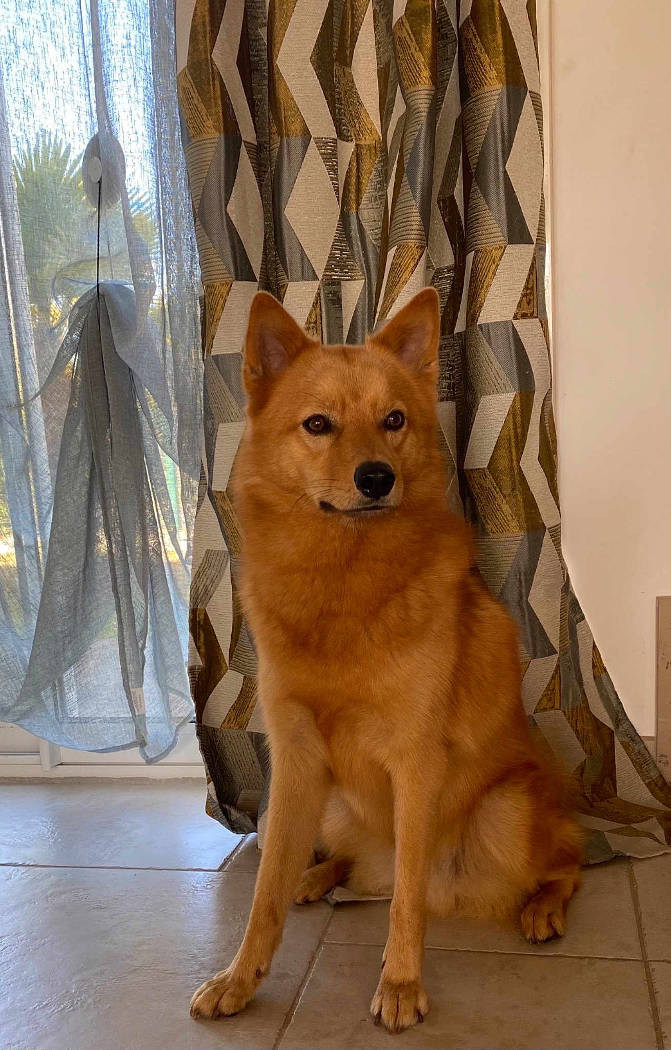 Reïko