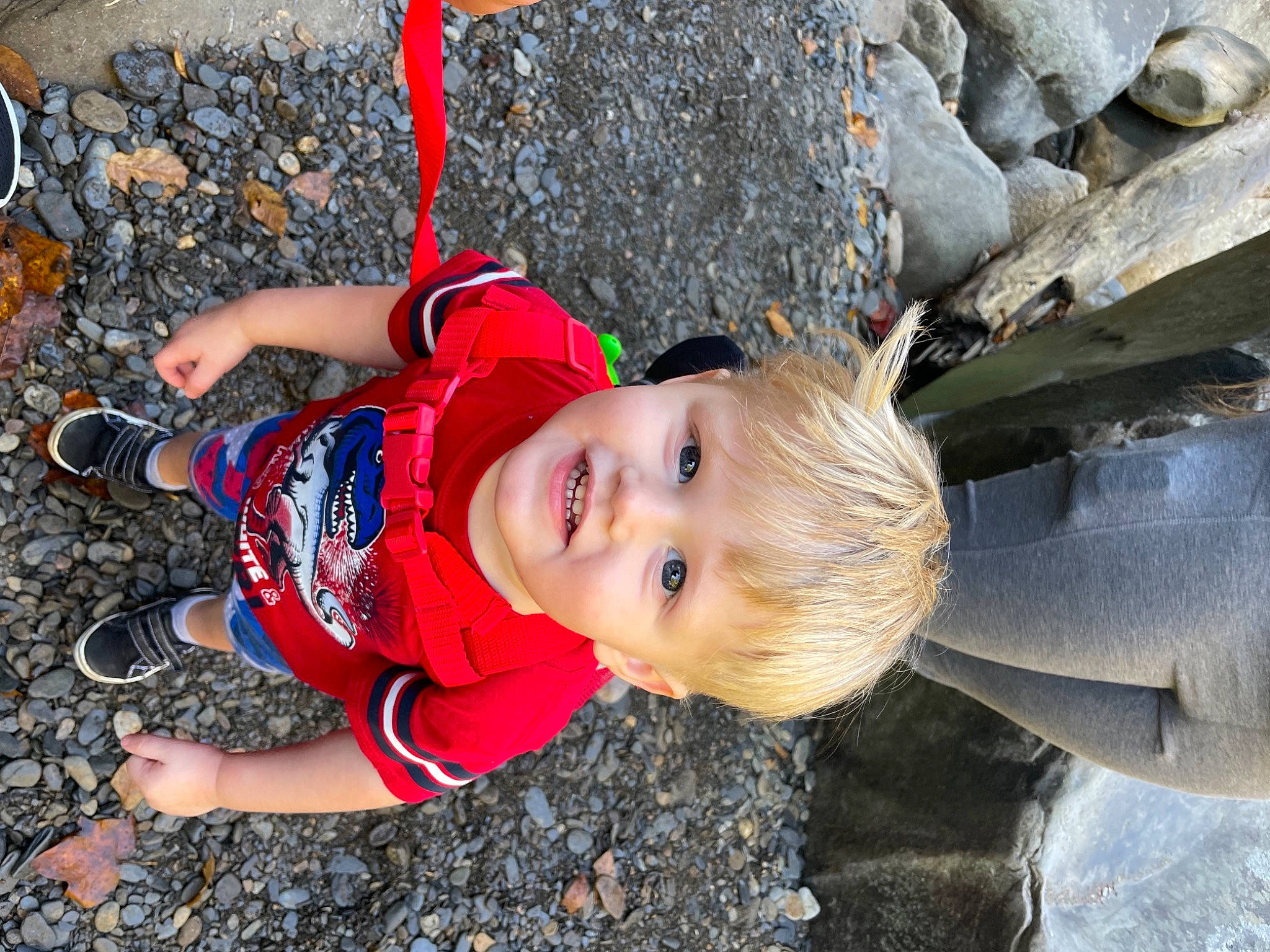 Greysen is registered to the contest to win money with this photo: adventure, child, fun, grass, happy, hat, joy, leisure, people_in_nature, person, personal_protective_equipment, recreation, smile, soil, toddler, tree, vertebrate, wood