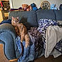Little Bear joined the competition — help win amazing prizes! animal, blanket, carpet, cat, cozy, cushion, furniture, home_interior, indoor, kitchen_appliance, living_room, mirror, orange_cat, pet, plush_toys, relaxing, sofa, stuffed_toys, teddy_bears, wall_art
