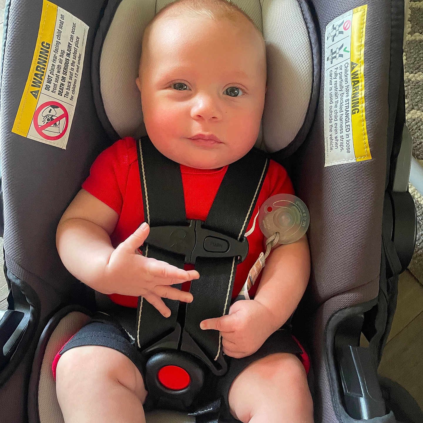 Jaxon is registered to the contest to win money with this photo: baby, car_seat, red_shirt, black_straps, pacifier, infant, child, sitting, indoors, car_seat_warning_labels, cute, plush, head_support, furniture, safety, person, legs, skin, expression, closeup