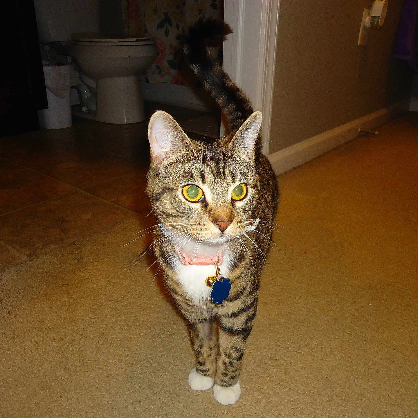 Roxie