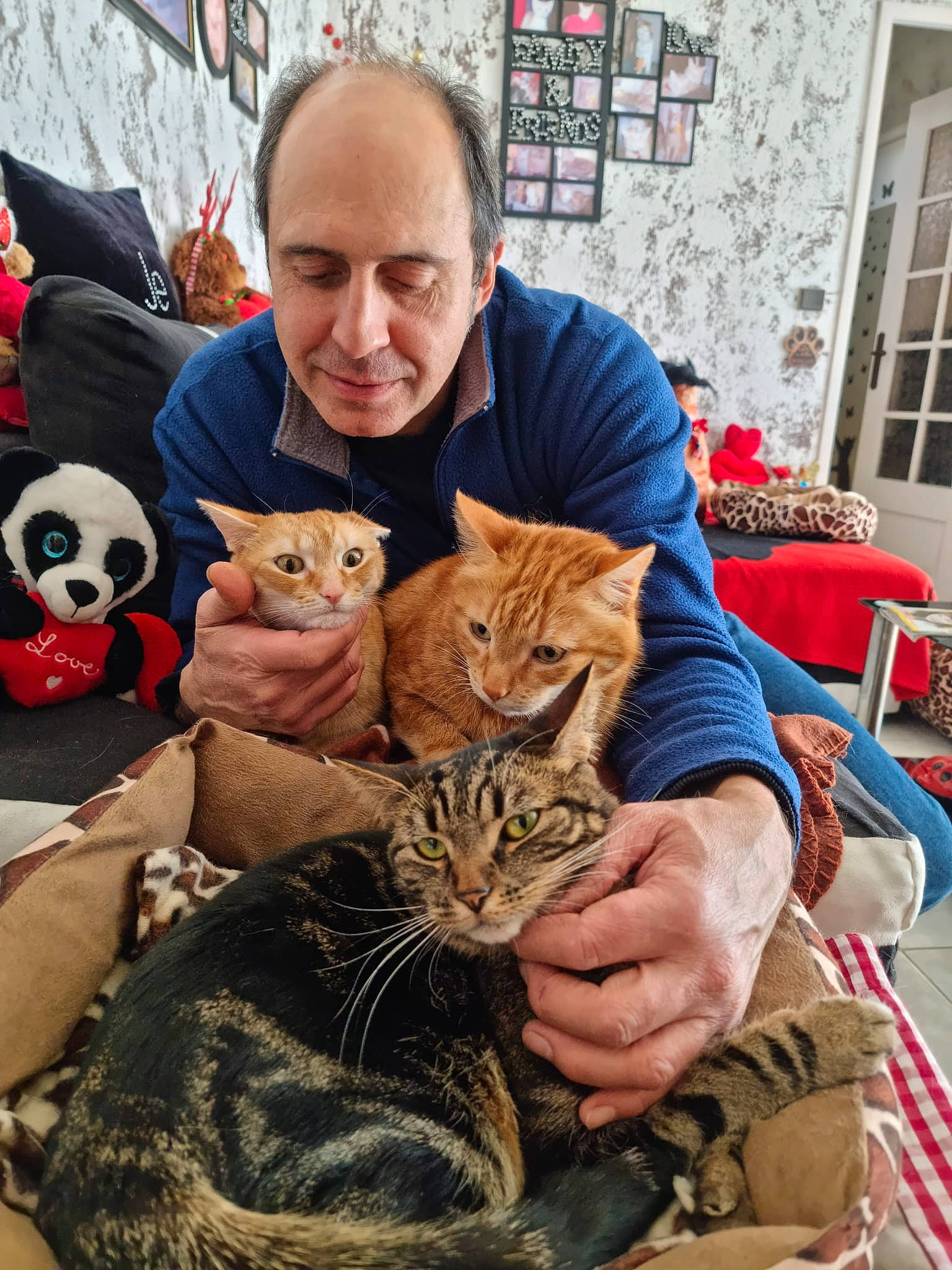 Mirou participe au concours pour gagner de l'argent avec cette photo : carnivore, cat, chair, child, comfort, companion_dog, domestic_short_haired_cat, fawn, felidae, fur, grass, lap, panda, picture_frame, sitting, small_to_medium_sized_cats, smile, textile, toy, whiskers