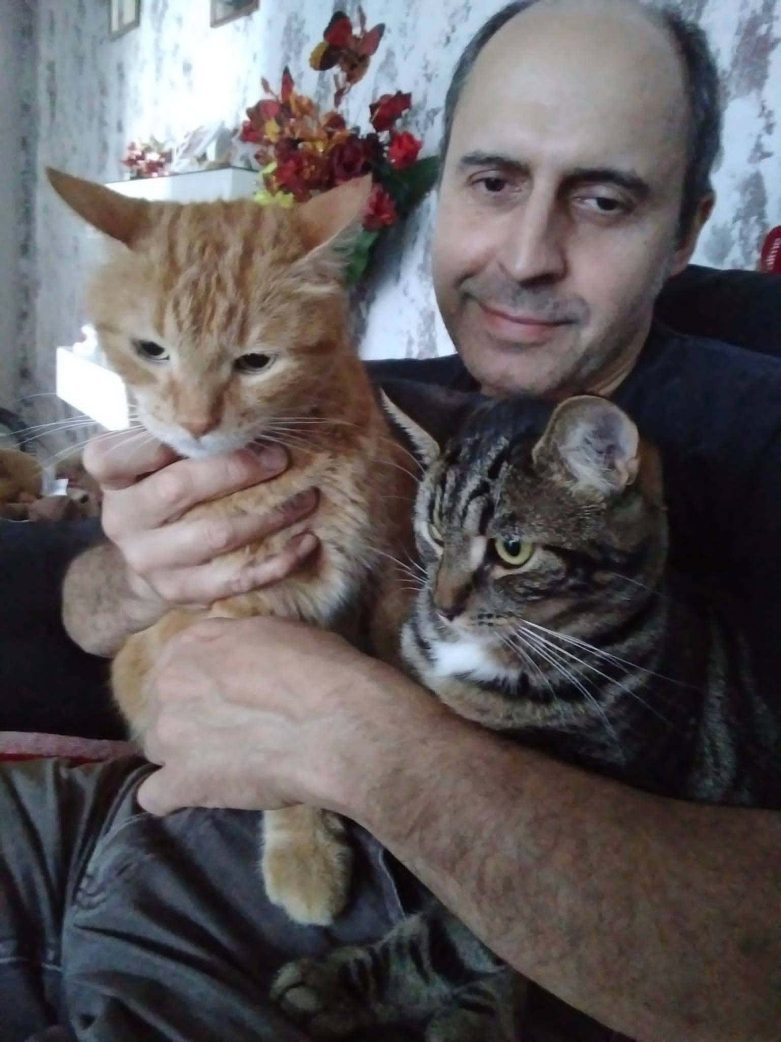 Mirou a rejoint le concours — aidez-le/la à gagner de superbes lots ! beard, carnivore, cat, claw, domestic_short_haired_cat, fawn, felidae, fur, hug, paw, plant, sitting, small_to_medium_sized_cats, smile, tail, tree, vertebrate, whiskers, wildlife