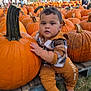 Adrian joined the competition — help win amazing prizes! autumn, baby, child, clothing, cute, daytime, fall, festival, grass, harvest, nature, orange, outdoor, people, person, plaid_shirt, pumpkin, pumpkin_patch, seasonal, trees