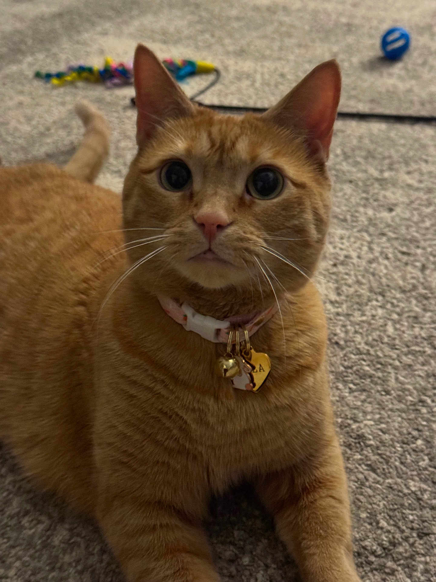 Nala