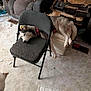 Maya is registered to the contest to win money with this photo: animal, apartment, box, canine, chair, collar, curious, damaged_furniture, dog, fan, floor, folding_chair, head_resting, husky, indoor, messy_room, pet, relaxed, resting, sofa
