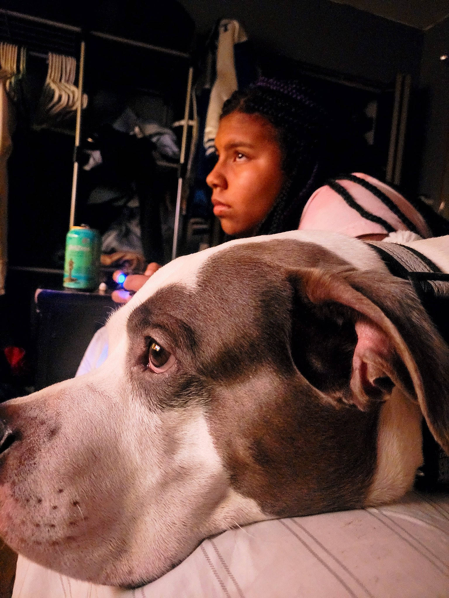 Jeezy is registered to the contest to win money with this photo: canidae, carnivore, comfort, companion_dog, dog, dog_breed, ear, event, eyewear, fawn, flesh, fur, jaw, metal, selfie, snapshot, snout, sporting_group, whiskers, working_animal