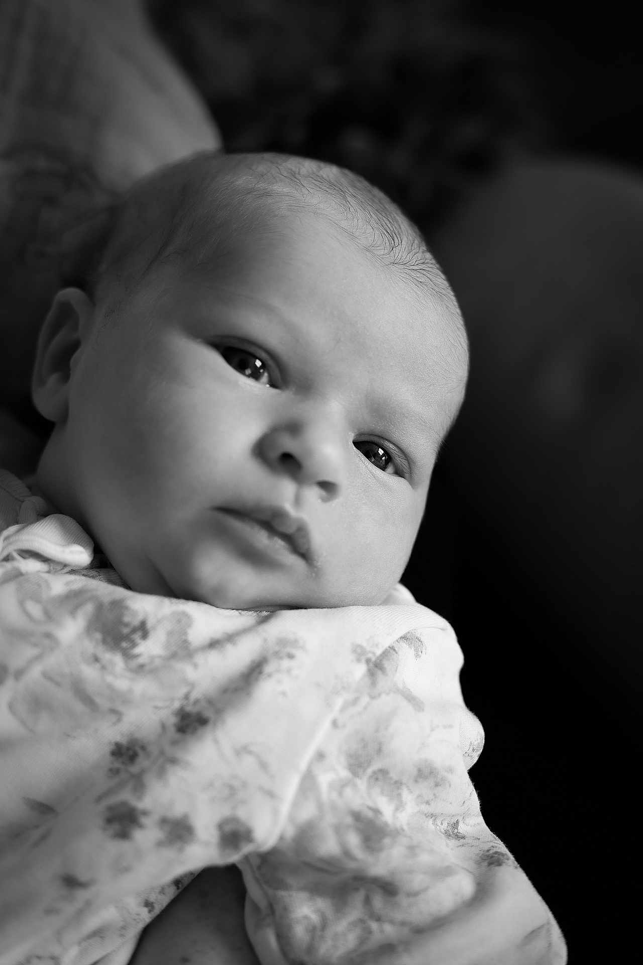 Aria joined the competition — help win amazing prizes! baby, portrait, black_and_white, closeup, infant, face, expression, blanket, soft_focus, newborn, cute, gaze, young_child, peaceful, monochrome, wrapped, skin, head, human, indoors