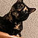 Callie