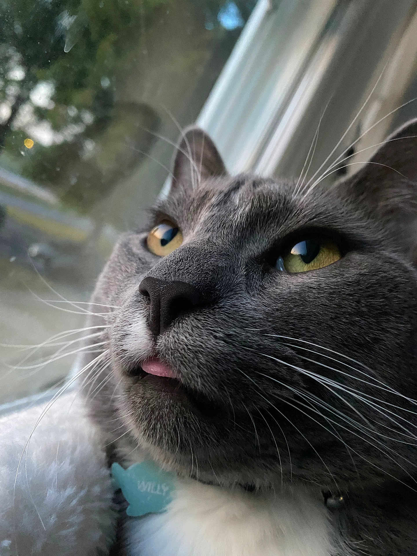 William